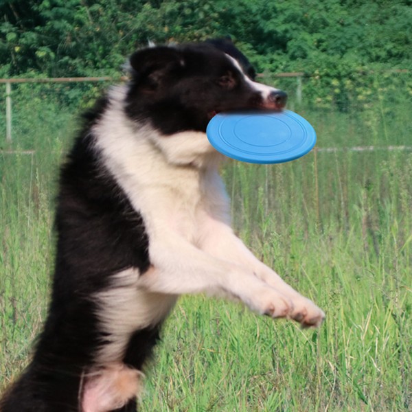 TPR pet dog outdoor training frisbee with custom logo